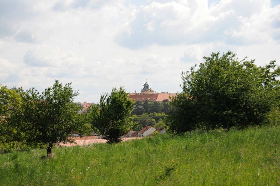 Valtický zámek za vinicí a ovocnými stromy
